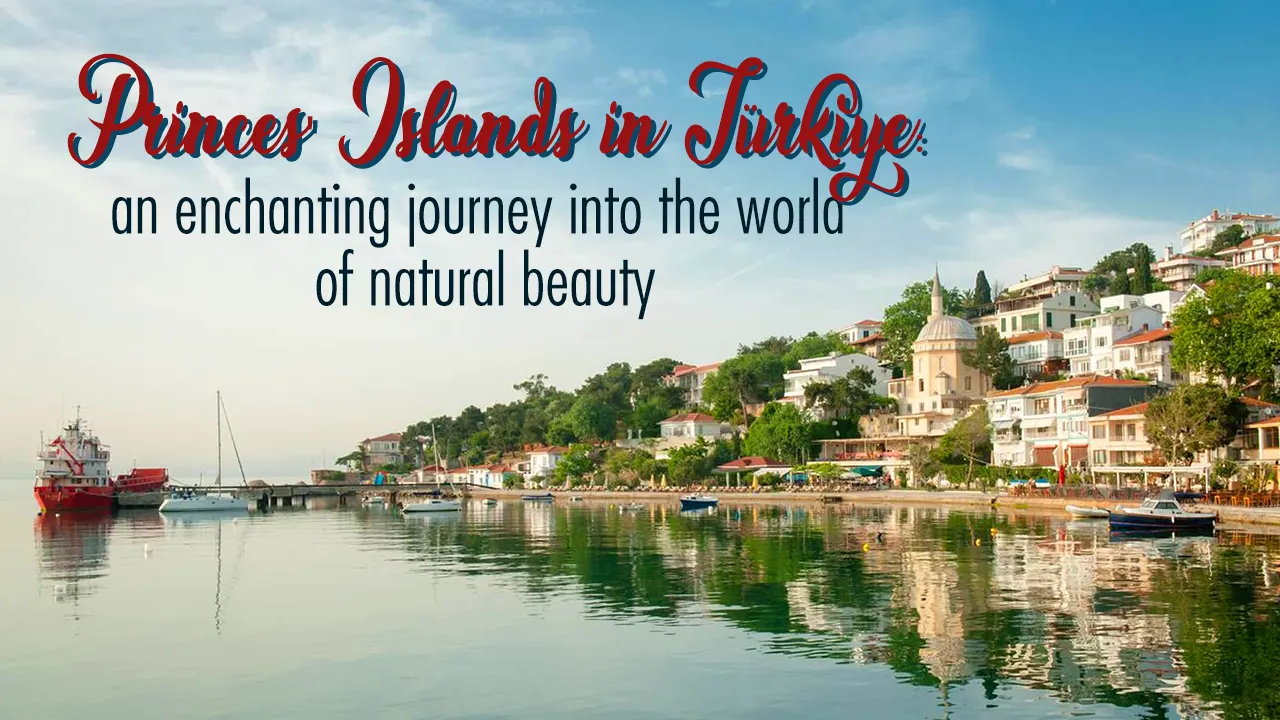 Discover the Princess Islands and immerse yourself in the world of stunning natural beauty in Turkey in general and in the city of Istanbul in particular. Explore one of the most important tourist destinations in Turkey through a boat tour in the Bosphorus Strait, ensuring a delightful time on the Princess Islands.