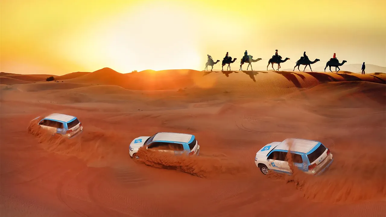 The Arabian desert has a captivating identity that attracts visitors from all over the world, allowing them to enjoy vast spaces, soft sands, and the most delightful times with family and friends.